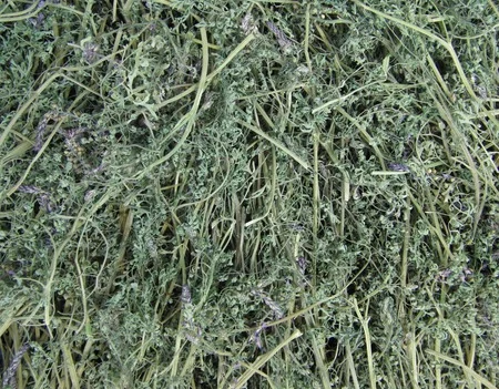 Димянка (рутка) (трава) 1 кг- фото № 2