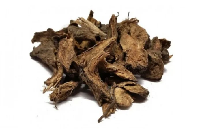 Дягиль корень, 1кг- фото № 1