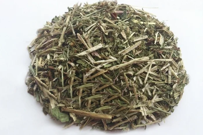 Зюзник европейский (трава) 1 кг- фото № 1