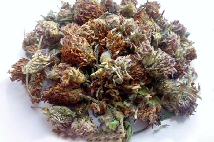 Клевер (цветы и трава) 1 кг- фото № 2