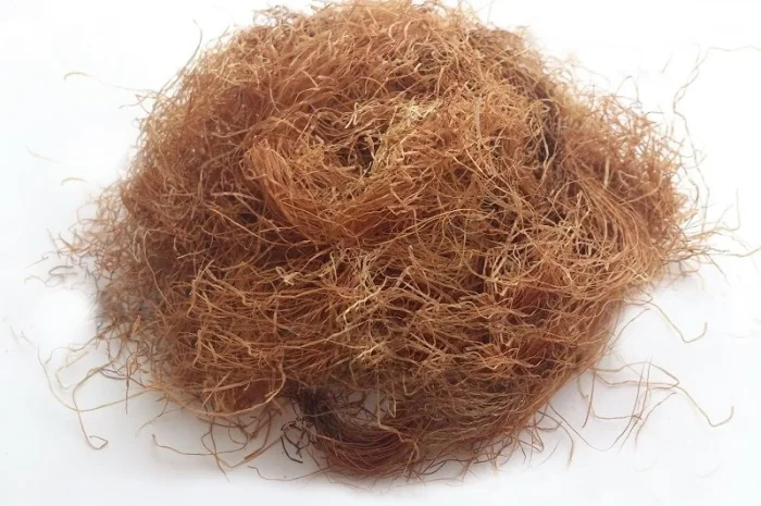 Кукурузные рыльца 1кг- фото № 1