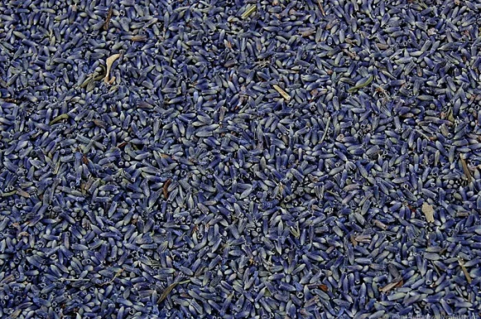 Лаванда (цветы) 1кг- фото № 1