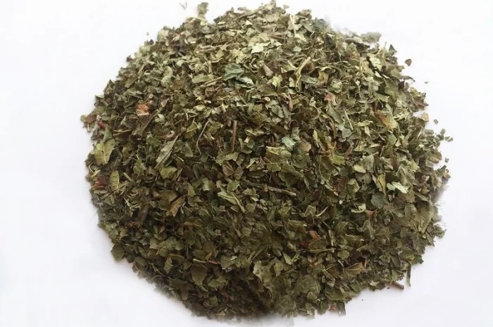 Лещина обыкновенная (листья) 1 кг- фото № 1