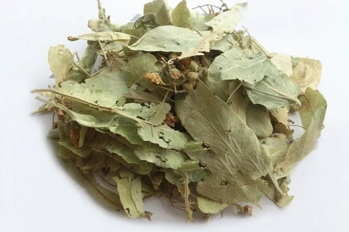 Липа (цветы) 1 кг- фото № 1