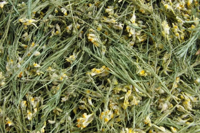 Льнянка обыкновенная (трава) 1 кг- фото № 1