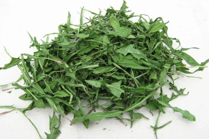 Одуванчик (трава) 1 кг- фото № 1