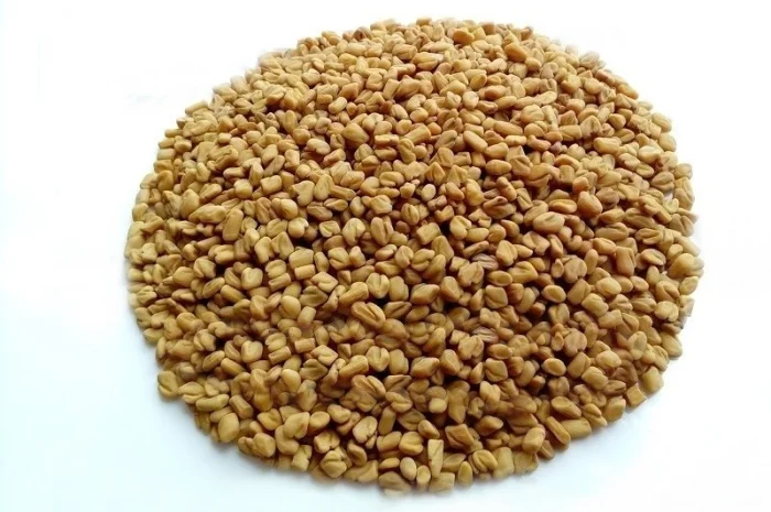 Пажитник сенной (Шамбала) семена 1 кг- фото № 1