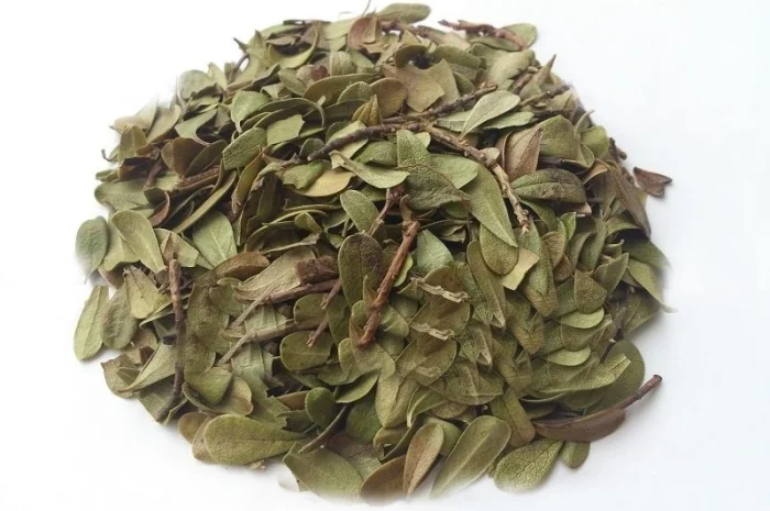 Толокнянка (лист) 1кг- фото № 1