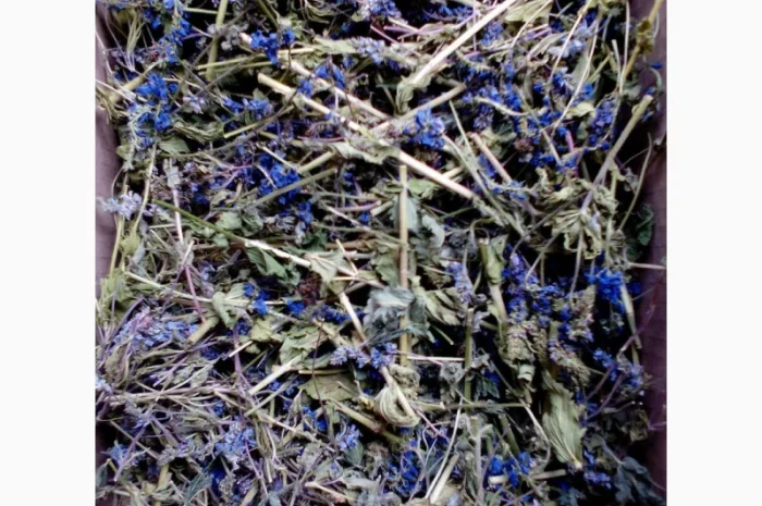 Трава вероники 1 кг- фото № 1