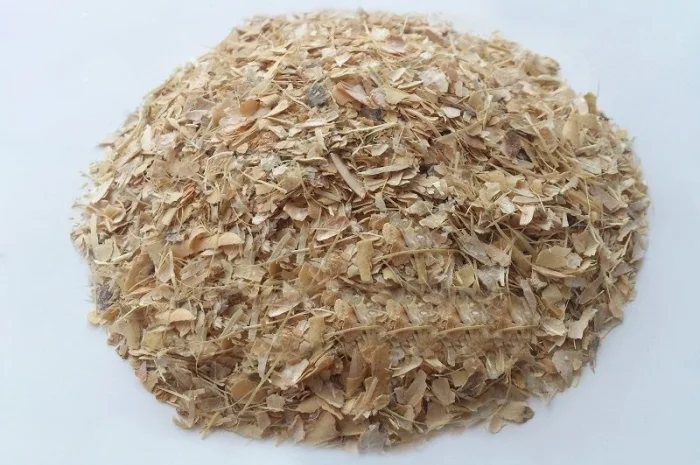 Фасоль створки, 1кг- фото № 1