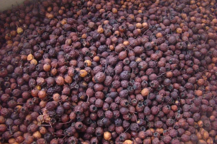 Плоди(ягода) Глоду (Глід-Боярка-CRATAEGI FRUCTUS)- фото № 2