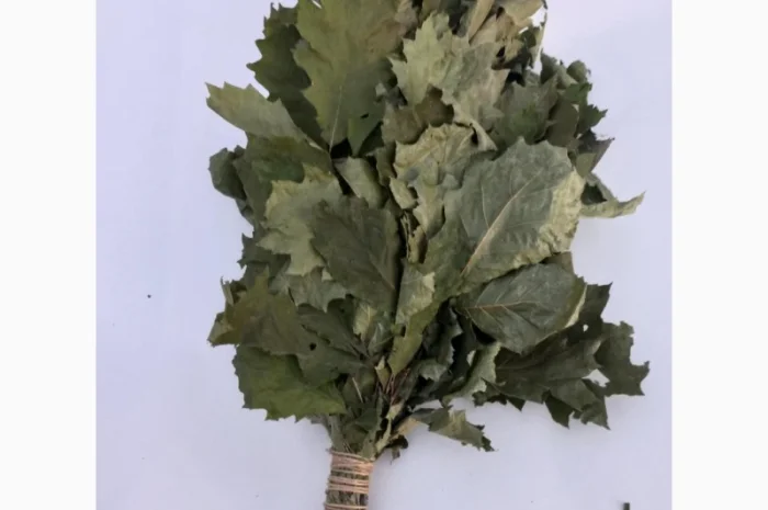 Віники для бані, Дуб Береза Липа Євкаліпт Трави- фото № 3