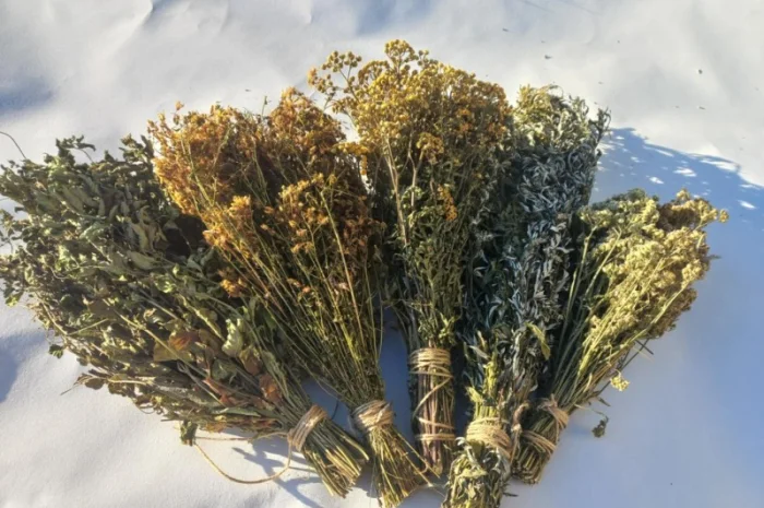 Віники для бані, Дуб Береза Липа Євкаліпт Трави- фото № 4