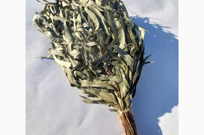 Віники для бані, Дуб Береза Липа Євкаліпт Трави- фото № 7