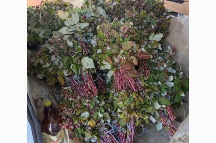 Продам сушане листя малини, букет малини сушаний- фото № 6