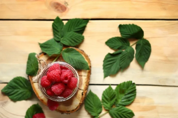 Куплю сухий лист малини- фото № 1