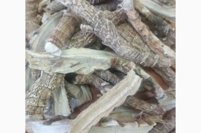 Куплю аїр- фото № 1