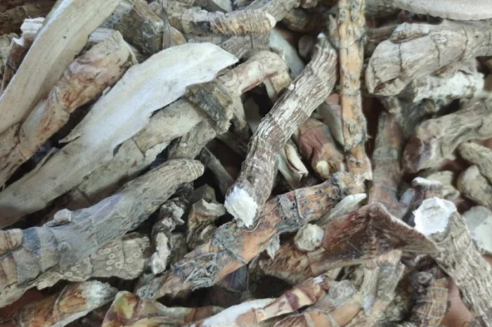 Куплю аїр- фото № 2