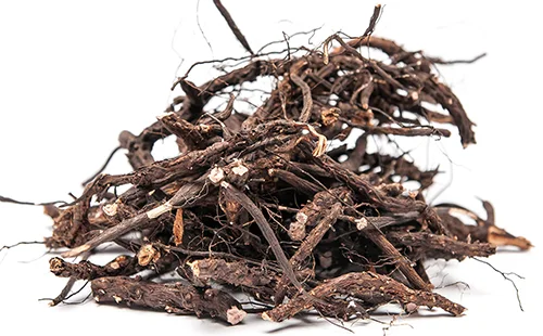 Перстач білий пятипал для щитовидної залози- фото № 1