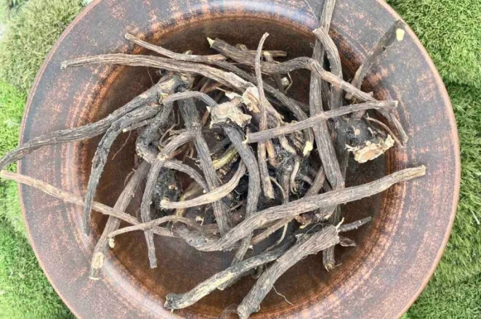 Кінський щавель корінь, щавель конский- фото № 1