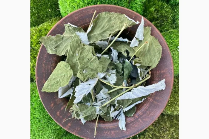 Листя малини, листья малины, малина сушена- фото № 1