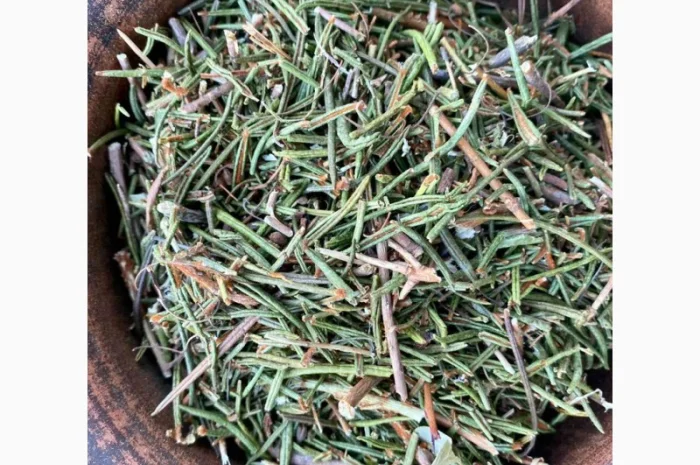 Багно, багульник- фото № 2