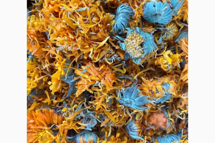 Цвіт календули, календула сушена, нагідки, цветки календулы- фото № 2