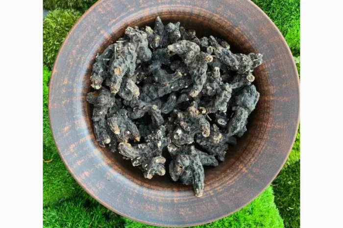 Продам сухий корінь калгана, корень лапчатки, калган- фото № 1