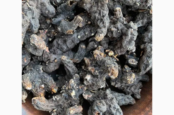 Продам сухий корінь калгана, корень лапчатки, калган- фото № 3