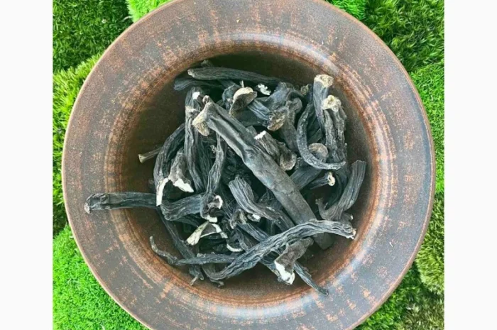 Продаю корінь живокіста, живокоста, живокост- фото № 1