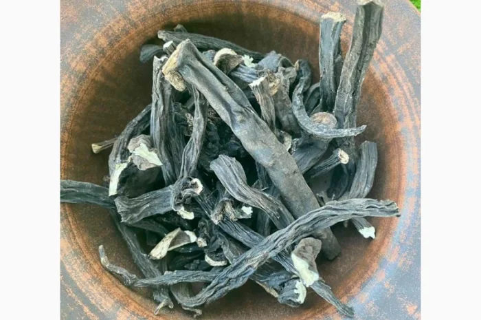 Продаю корінь живокіста, живокоста, живокост- фото № 2