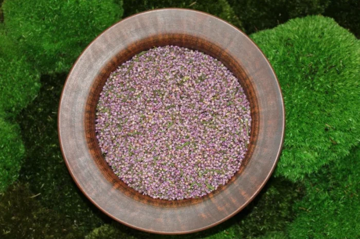 Верес, цвіт вересу, верес- фото № 1