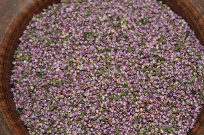 Верес, цвіт вересу, верес- фото № 2