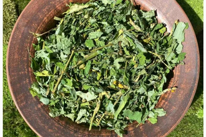 Чистотіл, чистотел- фото № 1