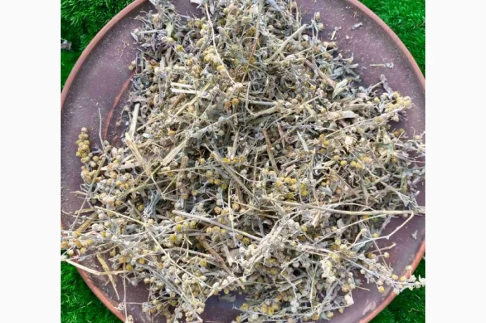 Полинь гірка, полин гіркий- фото № 3