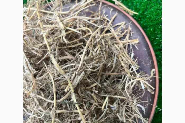 Корінь пирія, пирій, пырей корень, корень пырея- фото № 3