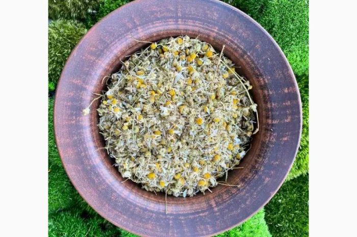 Цвіт ромашки, ромашка, цветки ромашки, квіти ромашки, ромашка сушеная- фото № 1