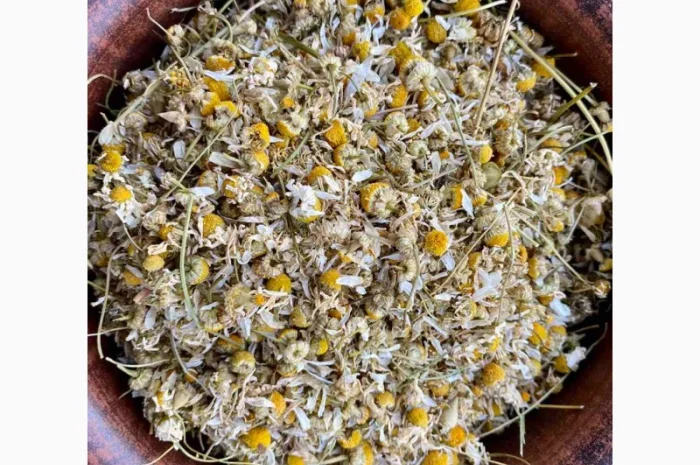 Цвіт ромашки, ромашка, цветки ромашки, квіти ромашки, ромашка сушеная- фото № 3