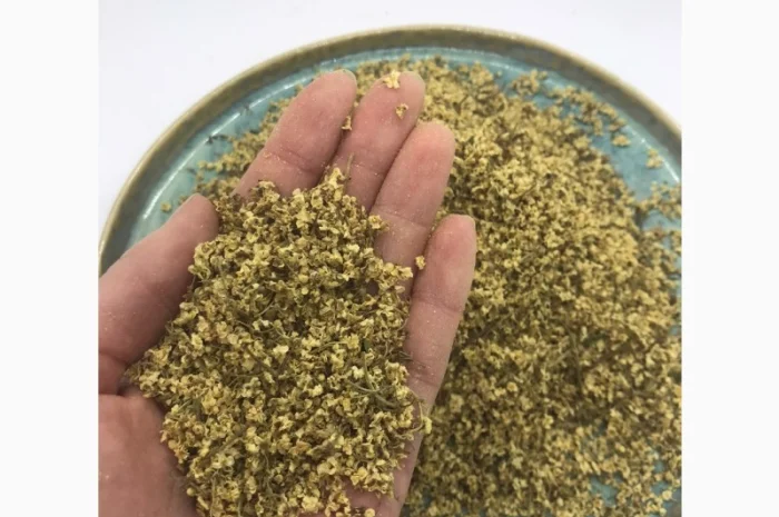 Цвіт бузини, цвет бузины, , бузина- фото № 1