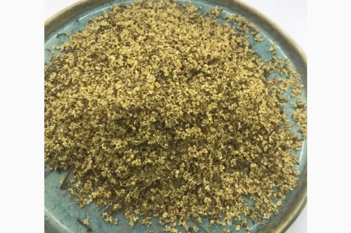 Цвіт бузини, цвет бузины, , бузина- фото № 2