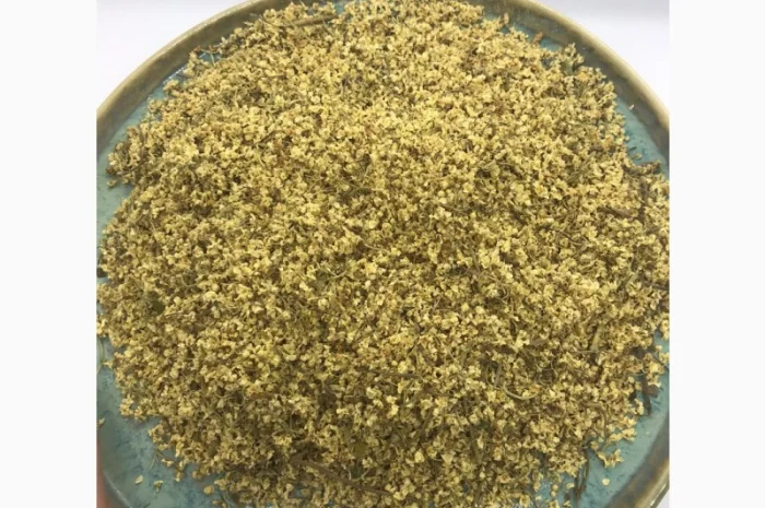 Цвіт бузини, цвет бузины, , бузина- фото № 3