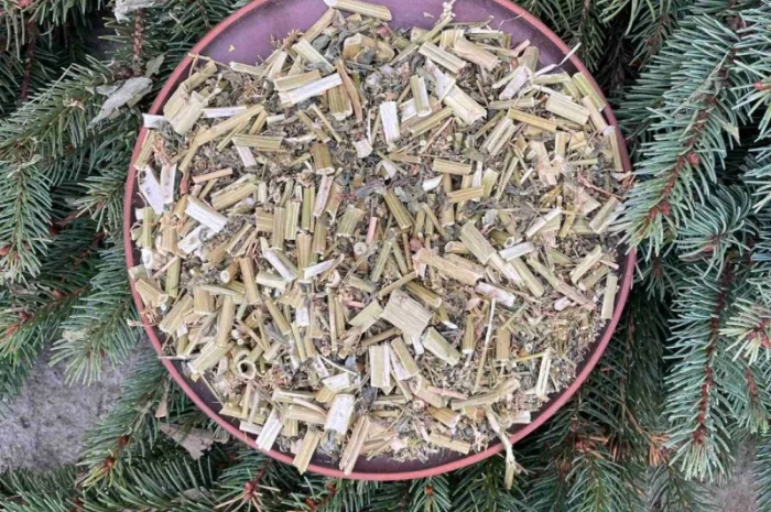 Буркун, донник, гуньба, сушений буркун- фото № 2