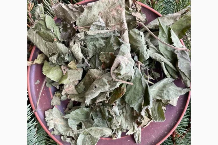 Сушене листя ожини, виприни, бамбара, бамбера, драпаки, ведмеді, листя ожини- фото № 2