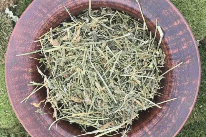 Грицики трава, сушені грицики, горобине око, дика гречка, калитник, мисочки, мішечки- фото № 1