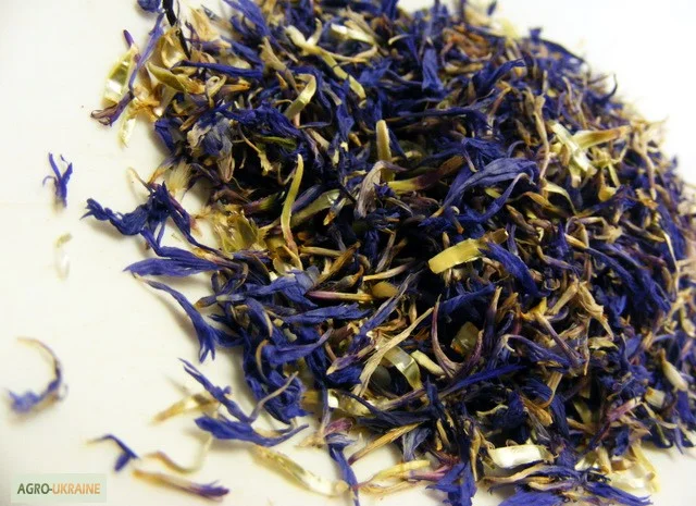 Васильки цвет сушеный- фото № 1