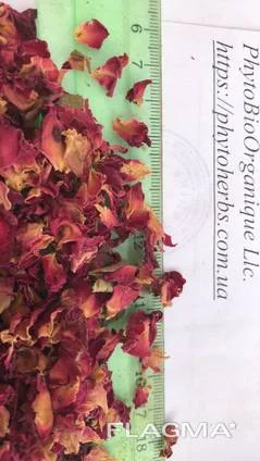 Троянда ефіроолійна пелюстки сушені. Роза лепестки- фото № 1