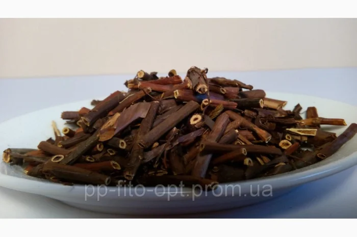 Сабельник болотный корень- фото № 1