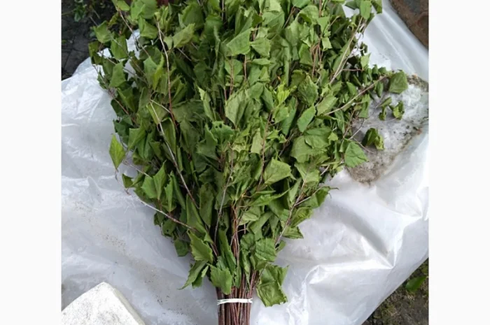 Продам банный веник- фото № 2