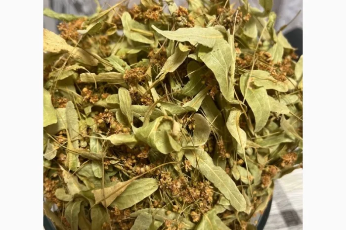 Цвіт липи. Ідеальний стан та зберігання- фото № 2