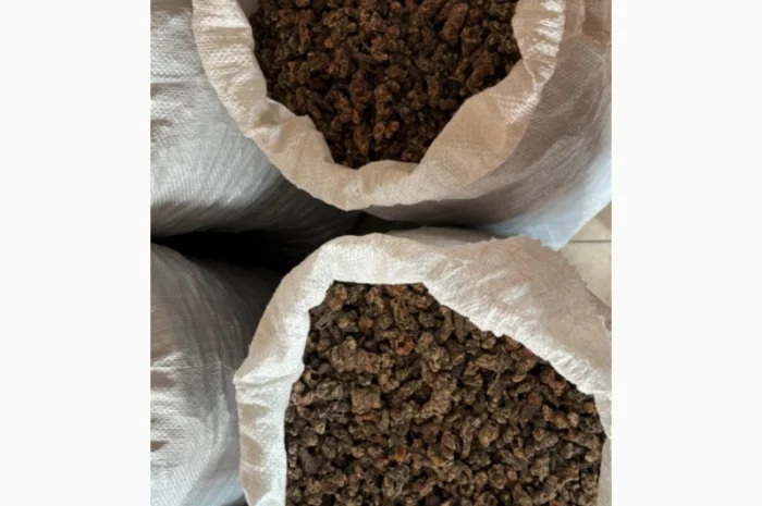 Продам Корінь Калгану (Лапчатка прямостояча)- фото № 1